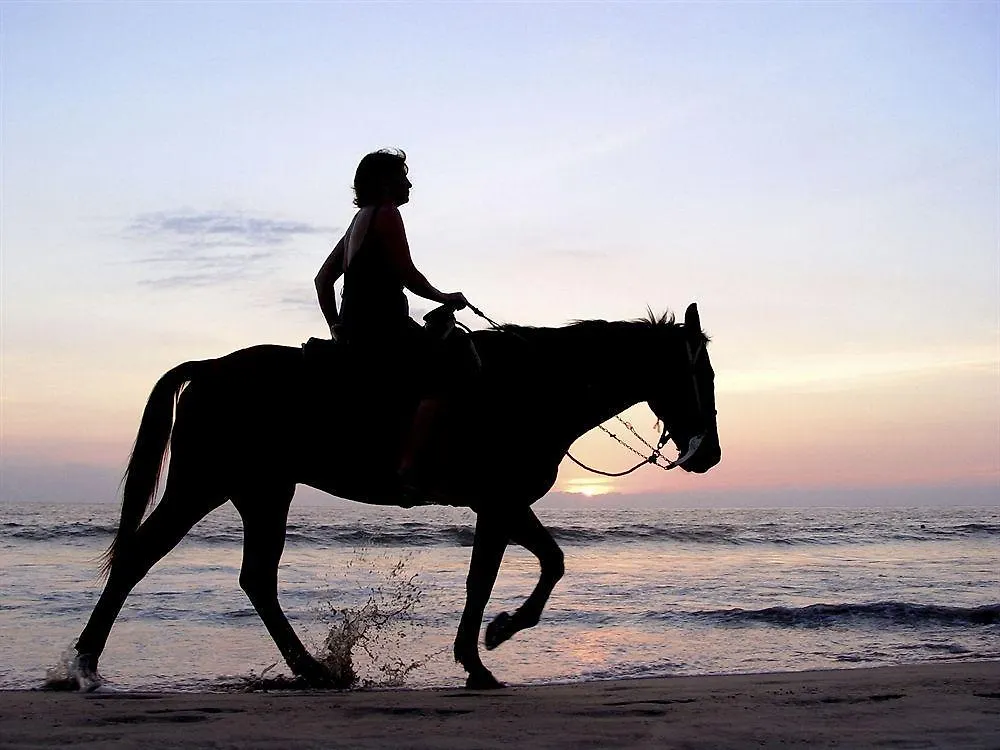 Hotel W Retreat & Spa - Vieques Island